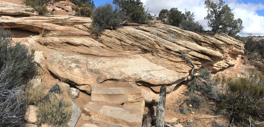 Natural Bridges National Monument